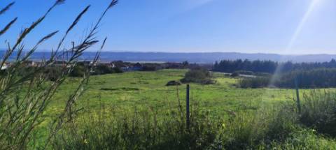 Terreno de 5460 m2 em Salir do Porto, Caldas da Rainha