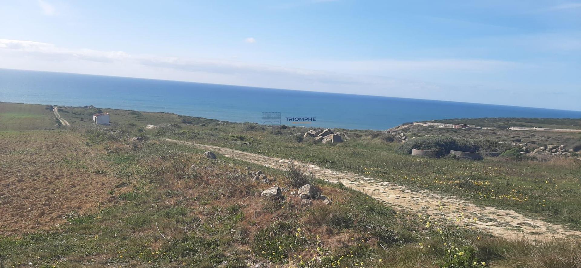 Terreno Rústico de 10320m2 em Sintra