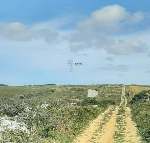 Terreno Rústico de 10320m2 em Sintra