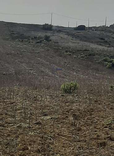 Terreno Rústico de 10320m2 em Sintra