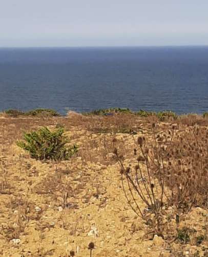 Terreno Rústico de 10320m2 em Sintra