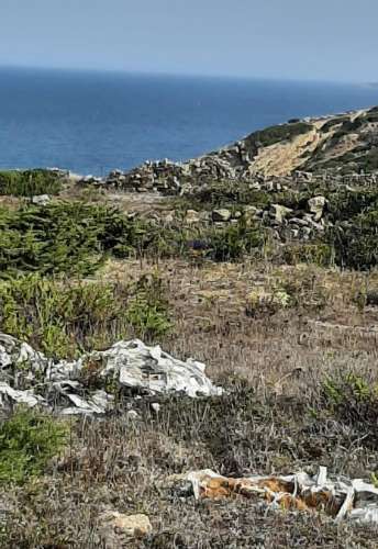 Terreno Rústico de 10320m2 em Sintra