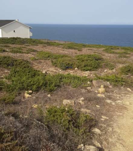 Terreno Rústico de 10320m2 em Sintra