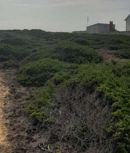 Terreno Rústico de 10320m2 em Sintra