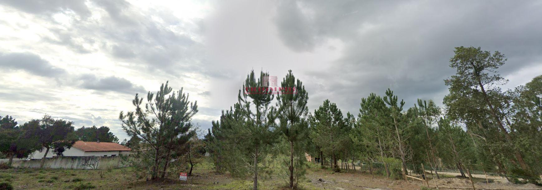 Terreno Urbanizável, 4.500m2, Pataias, Alcobaça