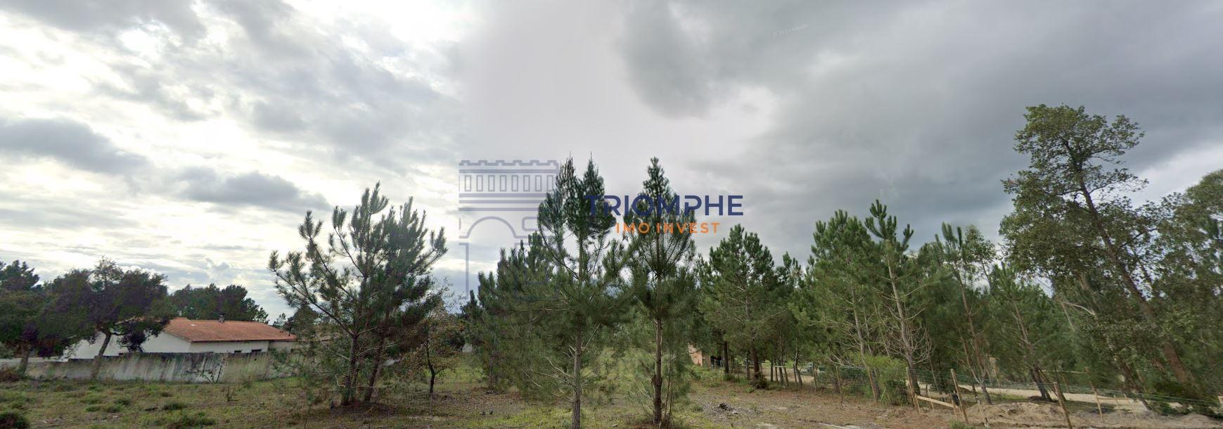 Terreno Urbanizável, 4.500m2, Pataias, Alcobaça