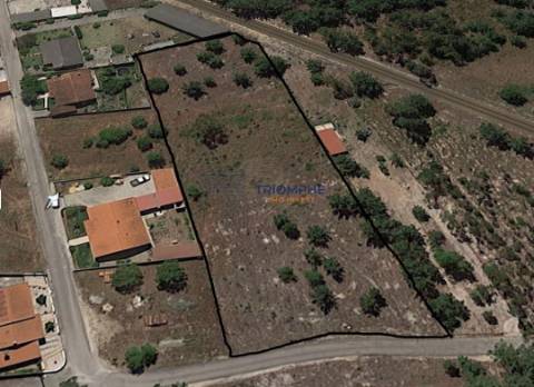 Terreno Urbanizável, 4.500m2, Pataias, Alcobaça