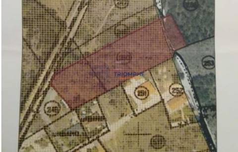 Terreno Urbanizável, 4.500m2, Pataias, Alcobaça