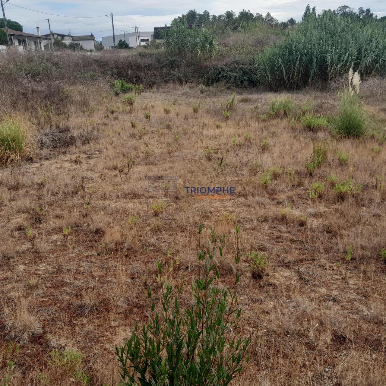 Terreno Urbano, P/ Construção de moradia e Terreno Rústico, Área 5.605 M2, Amor, Leiria 