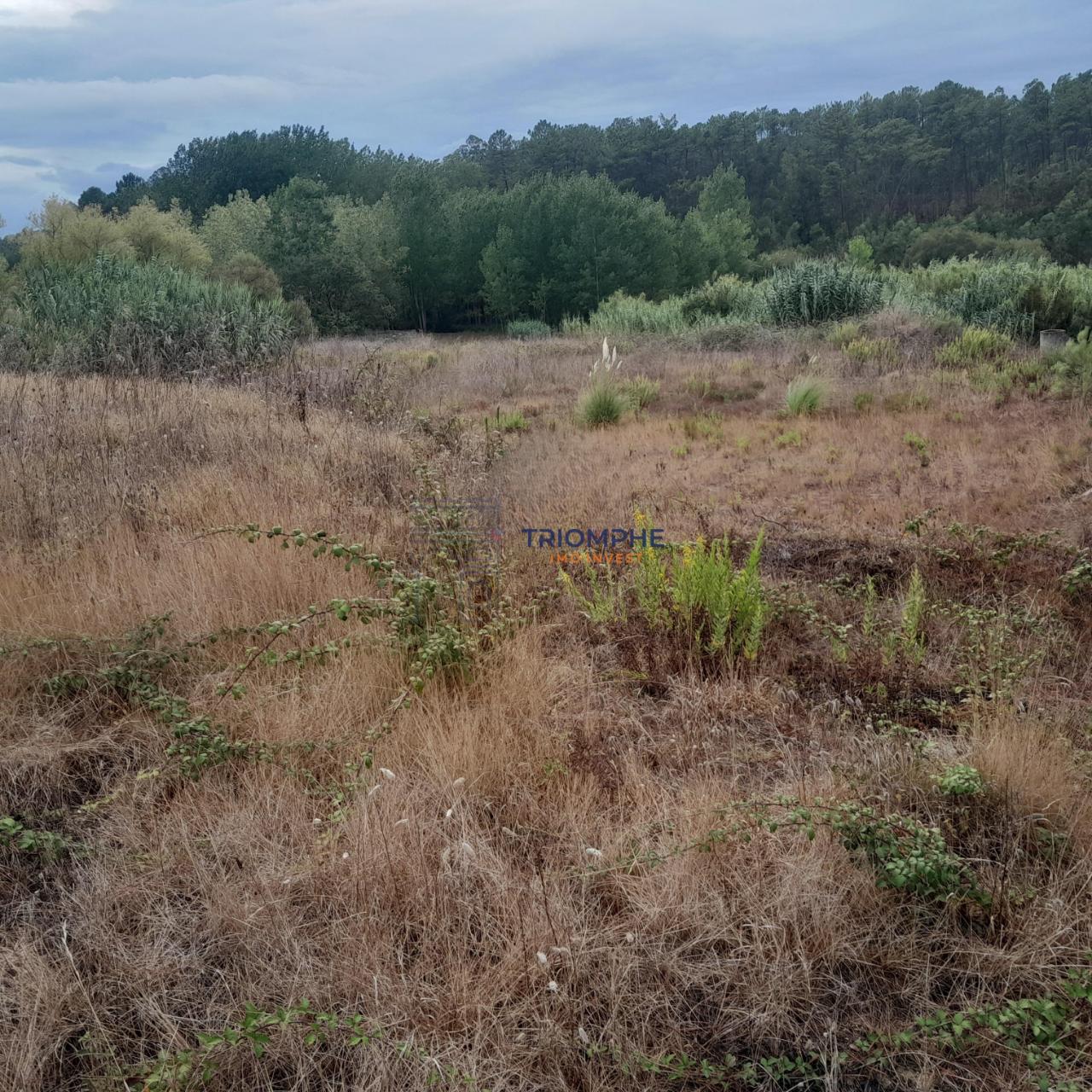Terreno Urbano, P/ Construção de moradia e Terreno Rústico, Área 5.605 M2, Amor, Leiria 