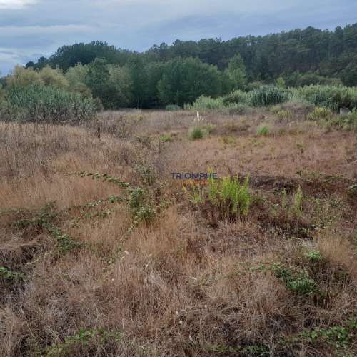 Terreno Urbano, P/ Construção de moradia e Terreno Rústico, Área 5.605 M2, Amor, Leiria 