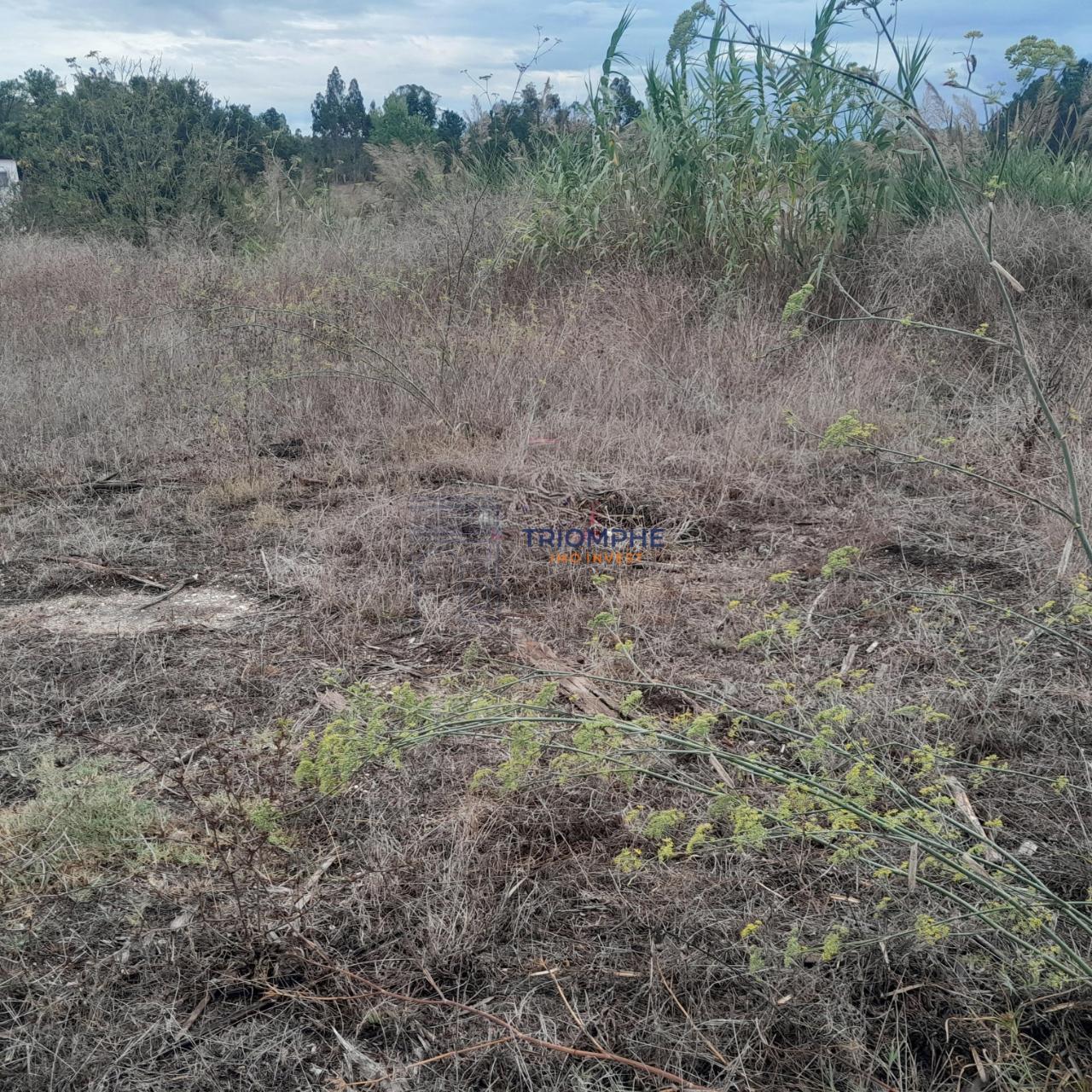 Terreno Urbano, P/ Construção de moradia e Terreno Rústico, Área 5.605 M2, Amor, Leiria 
