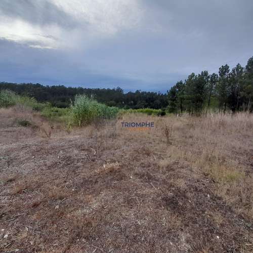 Terreno Urbano, P/ Construção de moradia e Terreno Rústico, Área 5.605 M2, Amor, Leiria 