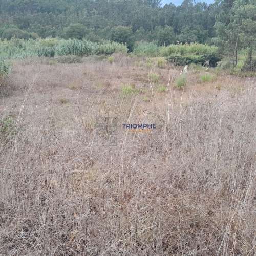 Terreno Urbano, P/ Construção de moradia e Terreno Rústico, Área 5.605 M2, Amor, Leiria 
