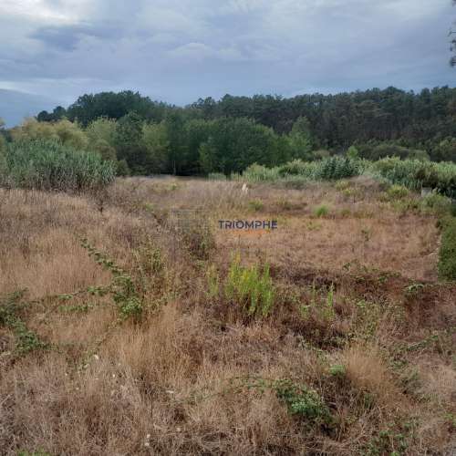 Terreno Urbano, P/ Construção de moradia e Terreno Rústico, Área 5.605 M2, Amor, Leiria 