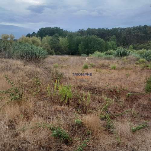 Terreno Urbano, P/ Construção de moradia e Terreno Rústico, Área 5.605 M2, Amor, Leiria 