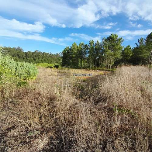 Terreno Urbano, P/ Construção de moradia e Terreno Rústico, Área 5.605 M2, Amor, Leiria 