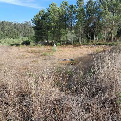 Terreno Urbano, P/ Construção de moradia e Terreno Rústico, Área 5.605 M2, Amor, Leiria 