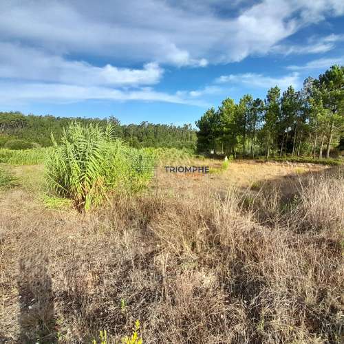 Terreno Urbano, P/ Construção de moradia e Terreno Rústico, Área 5.605 M2, Amor, Leiria 