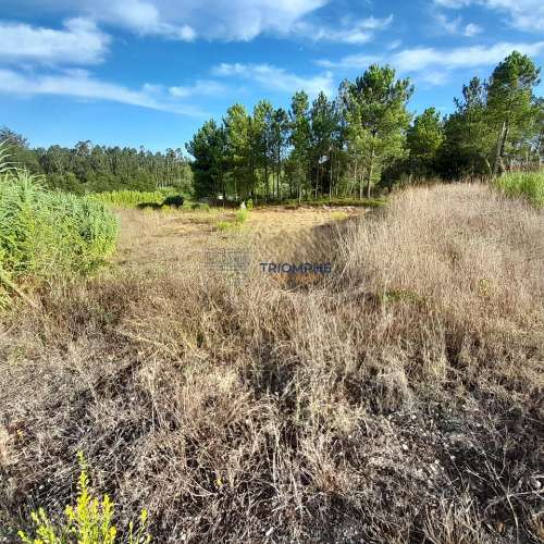 Terreno Urbano, P/ Construção de moradia e Terreno Rústico, Área 5.605 M2, Amor, Leiria 