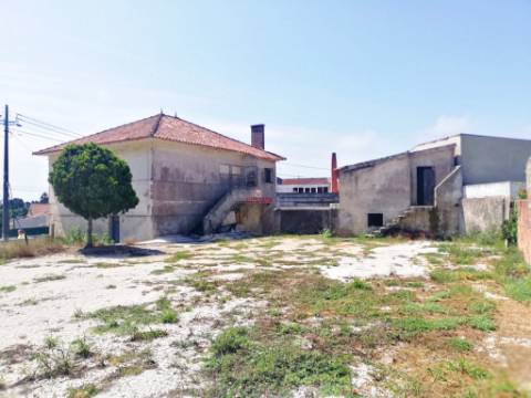 Terreno 2.927m2 c/ Projeto Aprovado - Cela, Alcobaça