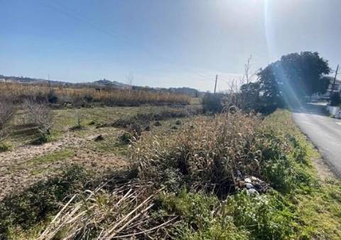 Terreno Marrazes-Leiria Gare