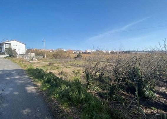 Terreno Marrazes-Leiria Gare