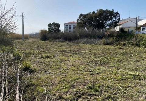 Terreno Marrazes-Leiria Gare