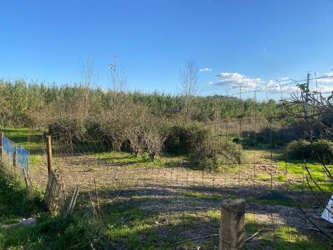 Terreno Marrazes-Leiria Gare