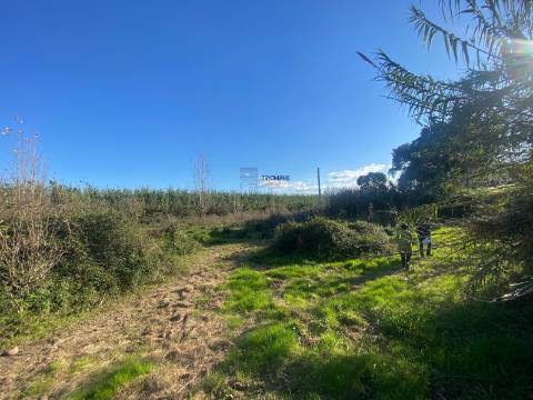 Terreno Marrazes-Leiria Gare