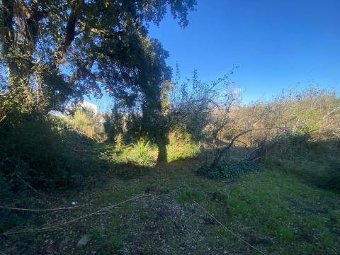 Terreno Marrazes-Leiria Gare
