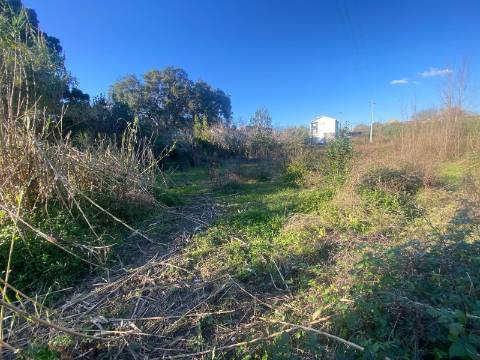 Terreno Marrazes-Leiria Gare