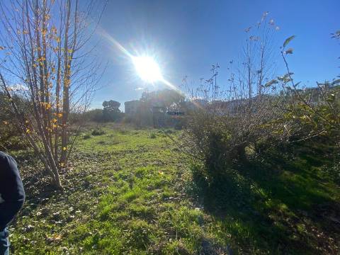 Terreno Marrazes-Leiria Gare