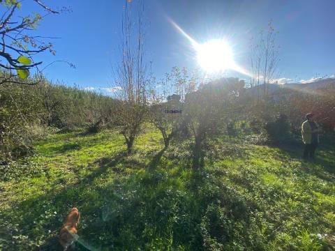 Terreno Marrazes-Leiria Gare