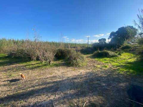Terreno Marrazes-Leiria Gare