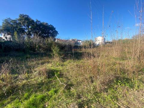 Terreno Marrazes-Leiria Gare
