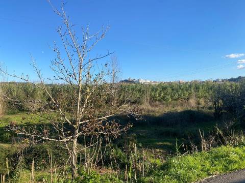 Terreno Marrazes-Leiria Gare