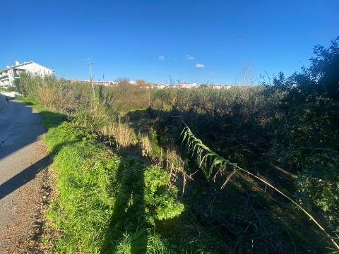 Terreno Marrazes-Leiria Gare