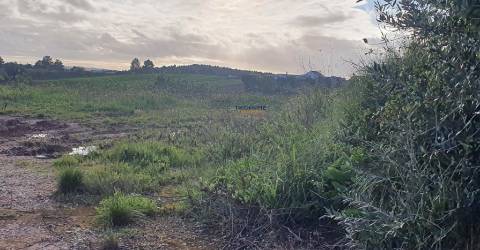 Terreno Misto - Lamas - Cadaval 