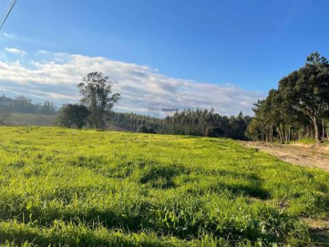 Terreno com Viabilidade de Construção moradia unifamiliar em Alfeizerão, Alcobaça