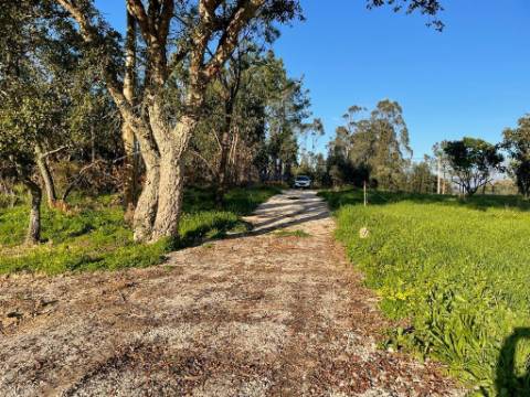 Terreno com Viabilidade de Construção moradia unifamiliar em Alfeizerão, Alcobaça