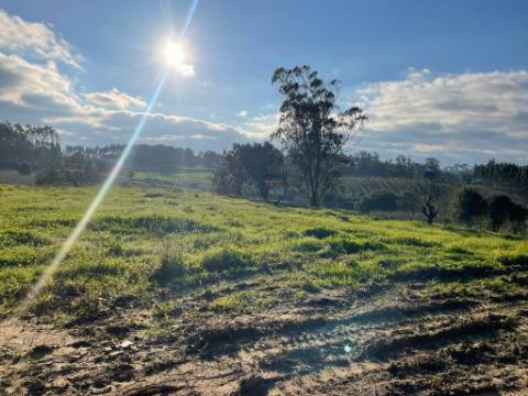 Terreno com Viabilidade de Construção moradia unifamiliar em Alfeizerão, Alcobaça