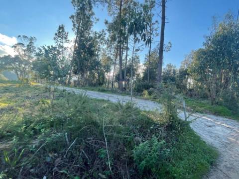 Terreno com Viabilidade de Construção moradia unifamiliar em Alfeizerão, Alcobaça