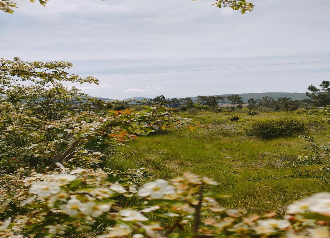 Terreno de 5200m2 com Viabilidade de Construção  - Porto de Mós.