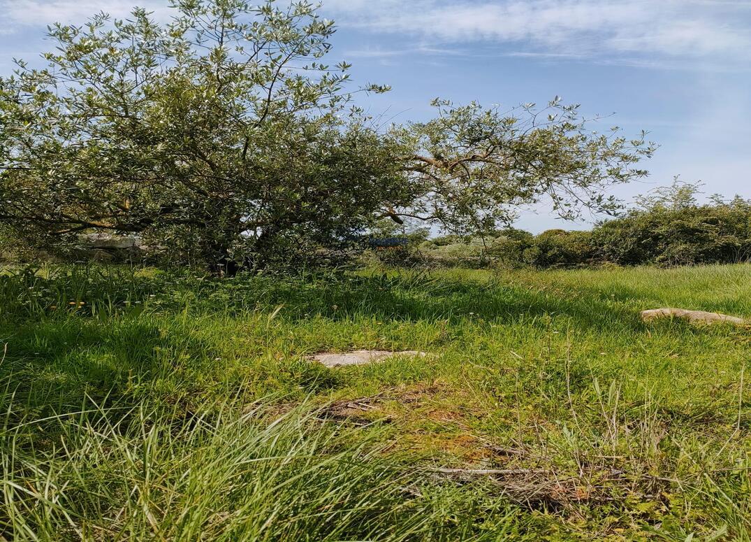 Terreno de 5200m2 com Viabilidade de Construção  - Porto de Mós.