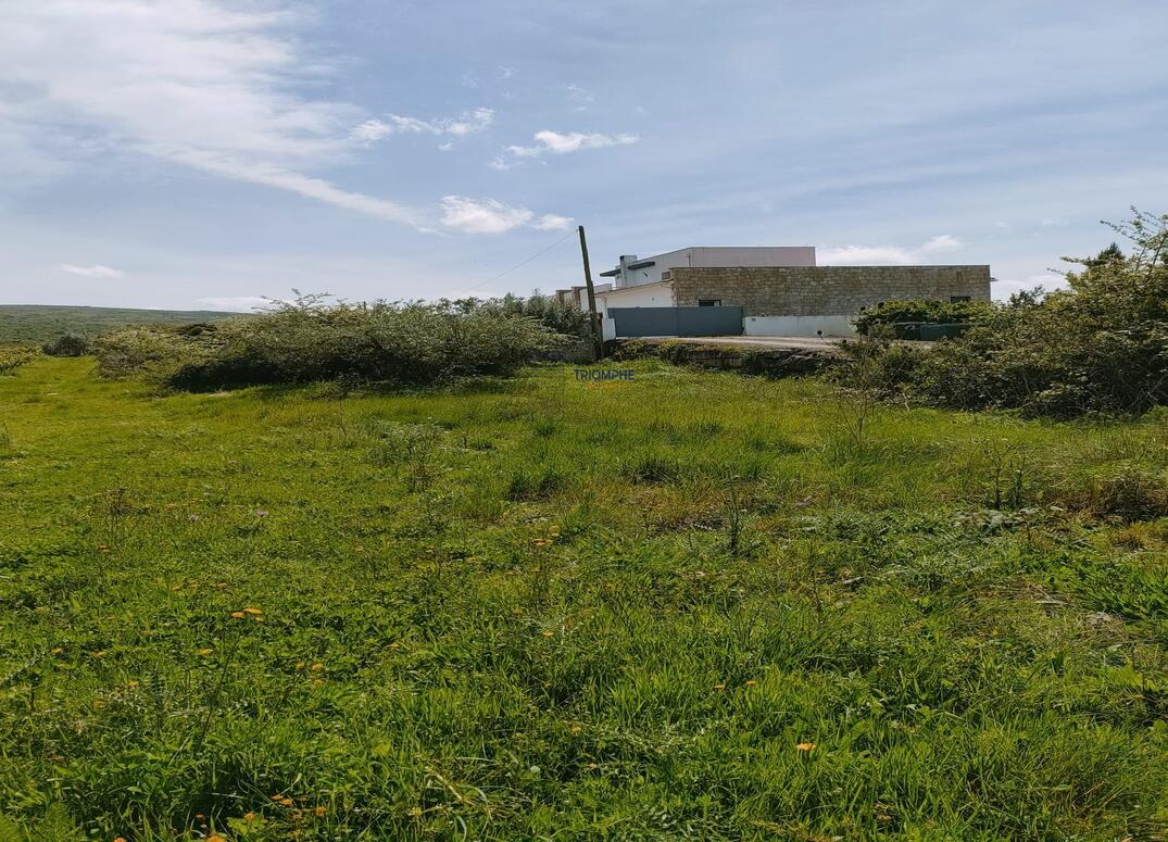 Terreno de 5200m2 com Viabilidade de Construção  - Porto de Mós.