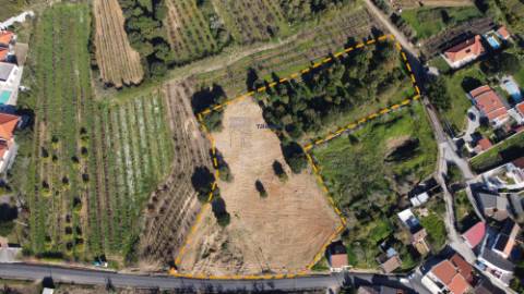 Terreno de 10.000m2 c/ possibilidade construção em Delgada, Bombarral