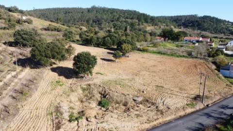 Terreno de 10.000m2 c/ possibilidade construção em Delgada, Bombarral