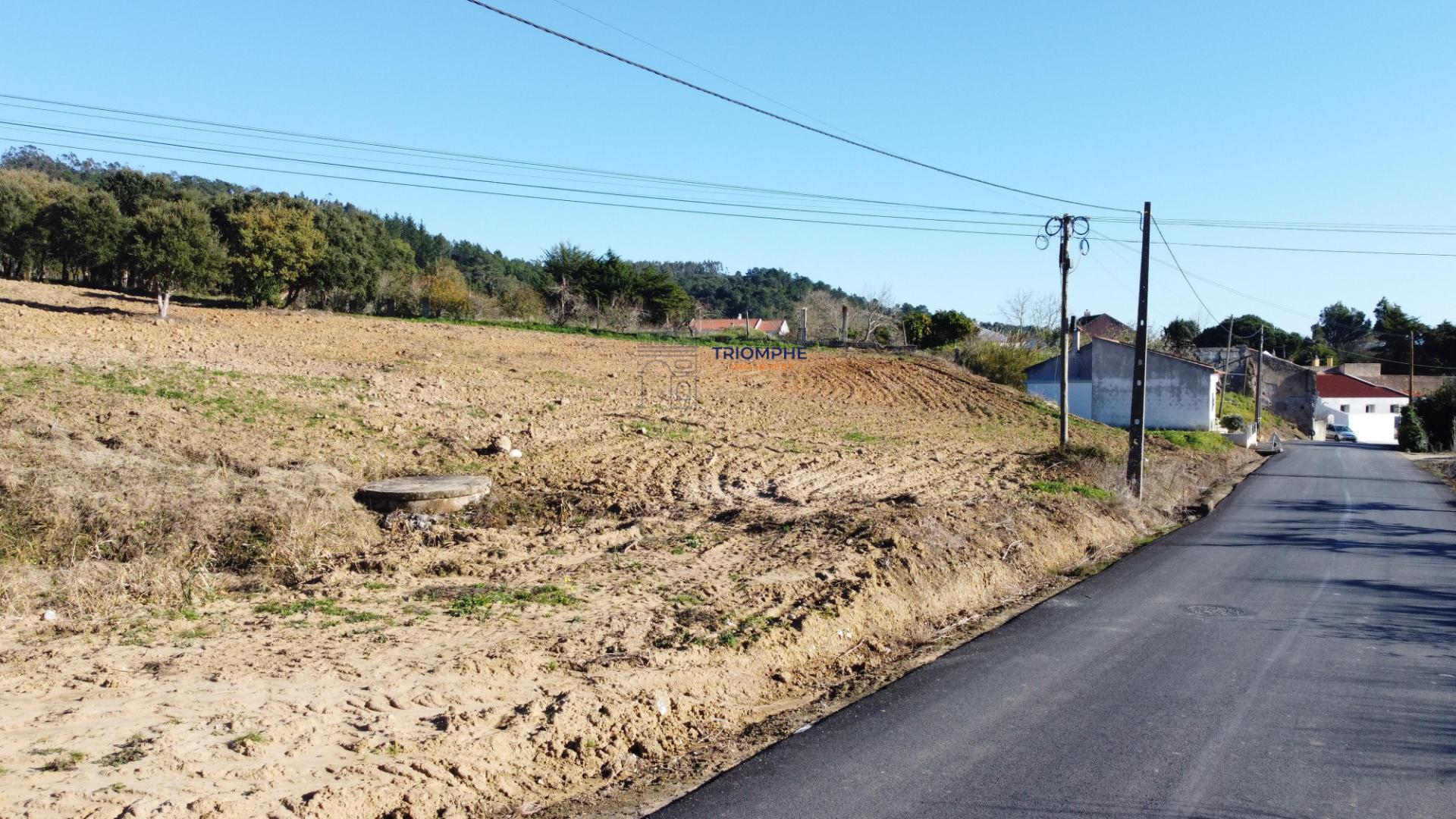 Terreno de 10.000m2 c/ possibilidade construção em Delgada, Bombarral