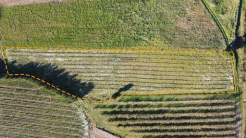 Terreno c/ projeto aprovado em Moita dos Ferreiros